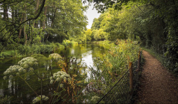 Картинка природа реки озера простор