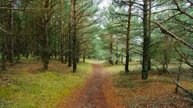 Обои картинки фото природа, дороги, простор