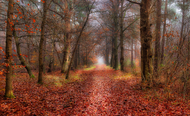 Обои картинки фото природа, дороги, простор