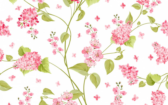 Обои картинки фото векторная графика, цветы , flowers, белый, фон, текстура, flower, vector, цветы, узор