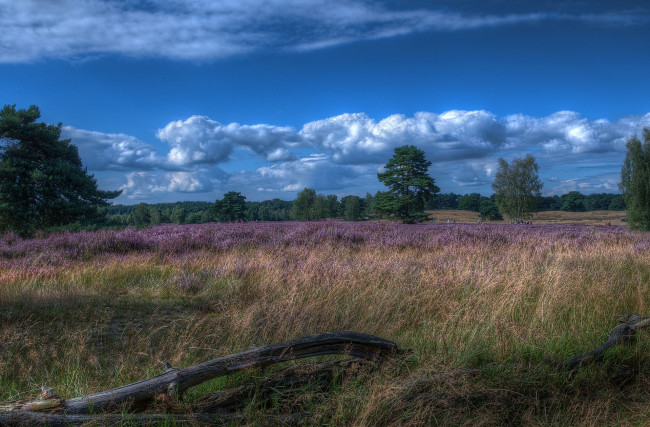 Обои картинки фото природа, поля, простор