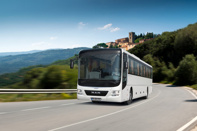 Обои картинки фото автомобили, автобусы, man