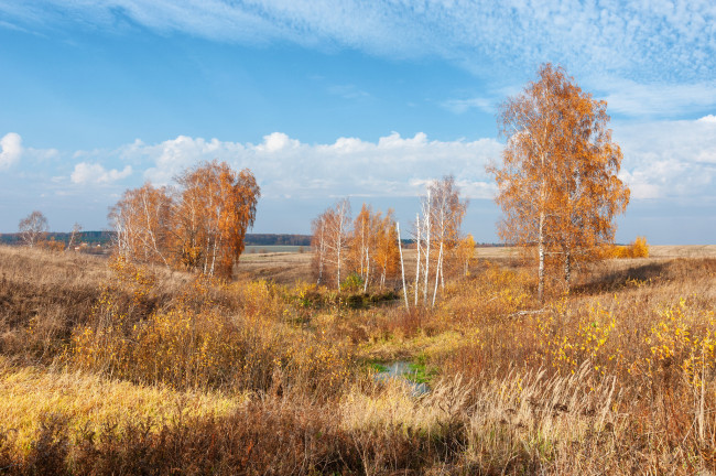 Обои картинки фото природа, пейзажи, простор