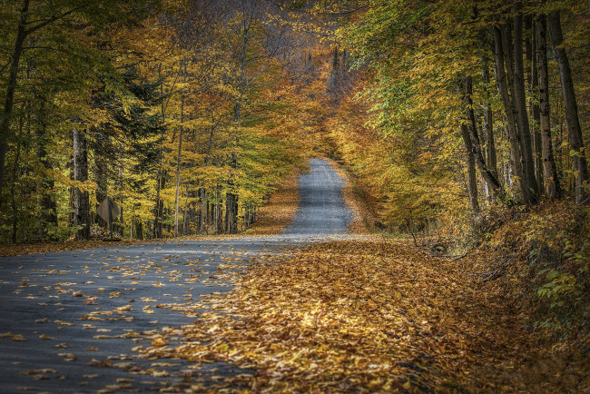 Обои картинки фото природа, дороги, простор