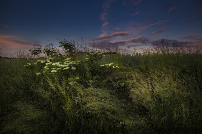 Обои картинки фото природа, луга, простор