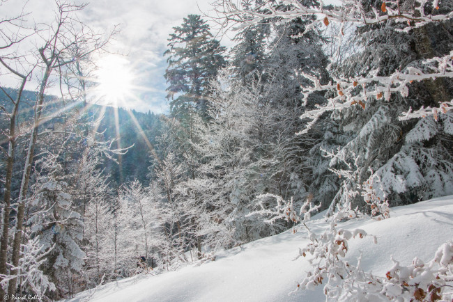 Обои картинки фото природа, зима, простор