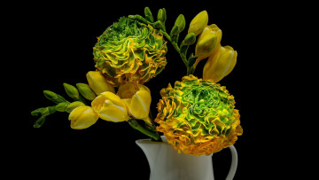 Картинка цветы букеты +композиции фрезия