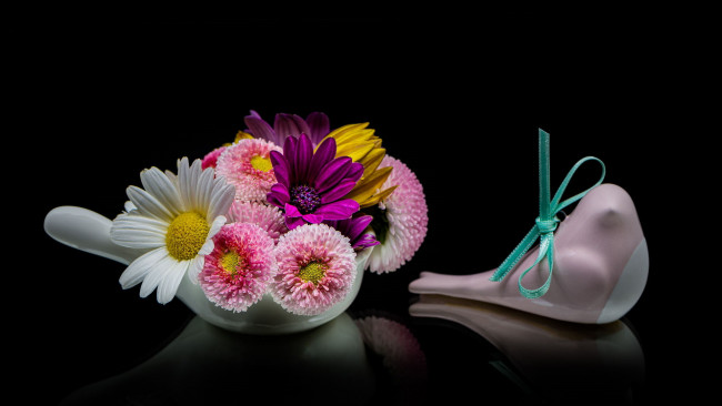 Обои картинки фото цветы, букеты,  композиции, остеопермум, маргаритки