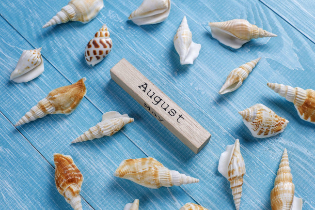 Обои картинки фото разное, ракушки,  кораллы,  декоративные и spa-камни