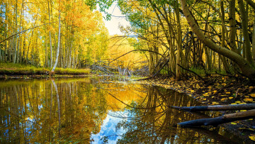 Картинка duck+creek utah природа реки озера duck creek