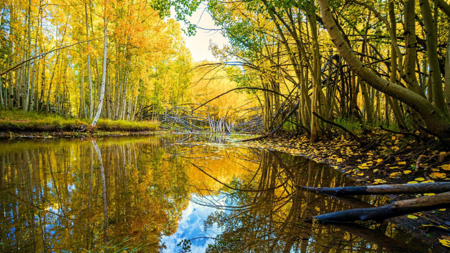 Обои картинки фото duck creek, utah, природа, реки, озера, duck, creek