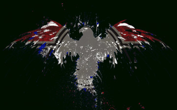 обоя векторная графика, птицы , птицы, орел, силуэт, флаг