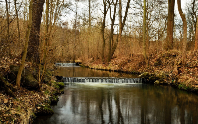 Обои картинки фото природа, реки, озера, деревья, осень, река, лес, каскады