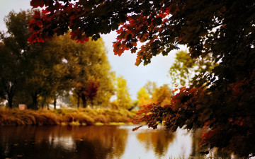 обоя природа, реки, озера, деревья, осень, озеро