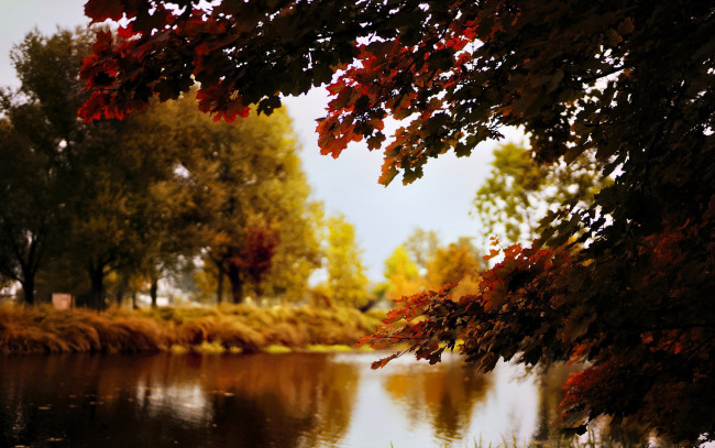 Обои картинки фото природа, реки, озера, деревья, осень, озеро