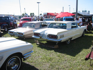 Картинка автомобили ford