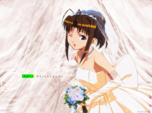 Картинка аниме love hina