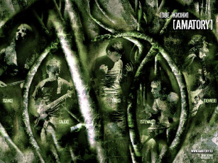 Картинка amatory музыка