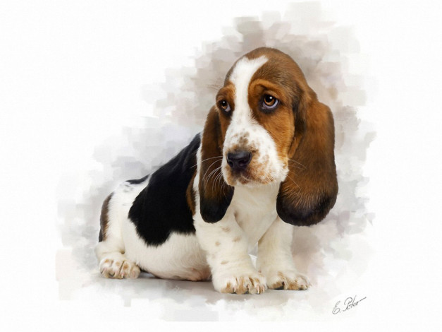 Обои картинки фото ну, что, ножки, короткие, зато, ушки, длинные, eduard, peter, рисованные