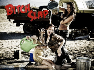 Картинка bitch slap кино фильмы