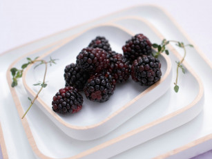 Картинка еда ежевика