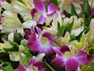 Картинка цветы разные вместе