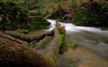 Картинка природа реки озера