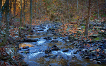 Картинка природа реки озера