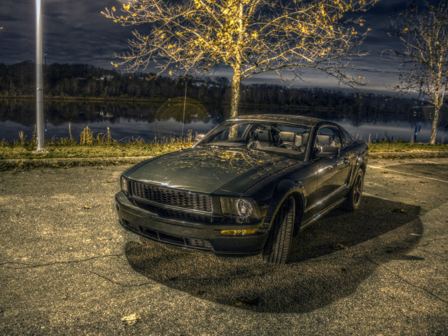 Обои картинки фото автомобили, mustang