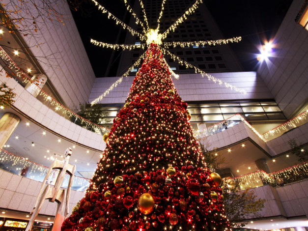 Обои картинки фото праздничные, Ёлки