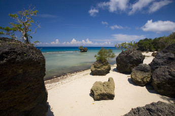 Картинка природа побережье камни берег скалы море