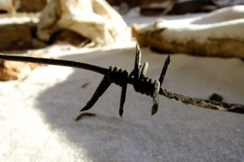 Картинка разное другое проволока