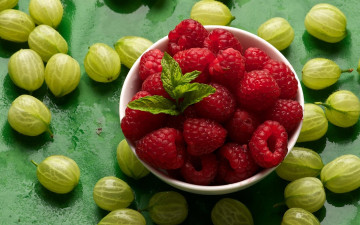 Картинка еда фрукты ягоды крыжовник малина