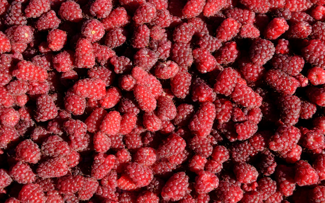 Обои картинки фото еда, малина