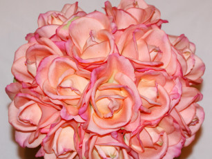 Картинка цветы розы