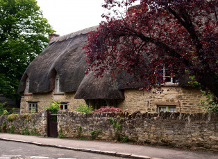 Картинка англия оксфорд города здания дома улица деревья