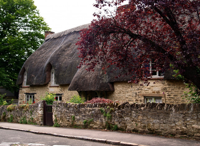 Обои картинки фото англия, оксфорд, города, здания, дома, улица, деревья