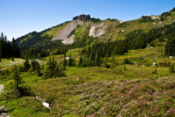 Картинка природа горы сша америка национальный парк