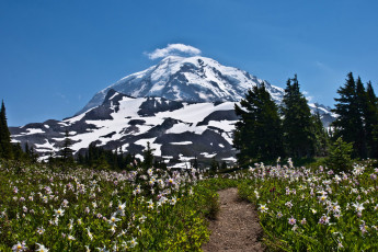 Картинка природа горы сша америка национальный парк