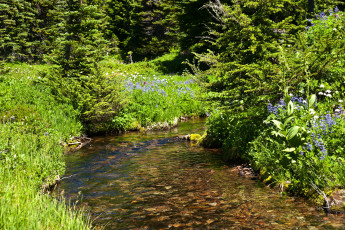 Картинка природа реки озера национальный парк сша америка