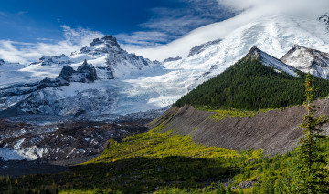 Картинка природа горы сша америка национальный парк