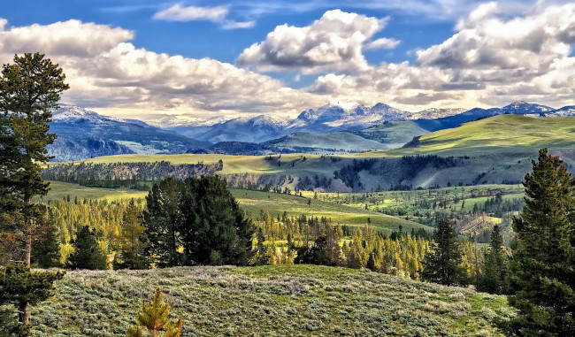 Обои картинки фото природа, пейзажи, облака, простор, луга, равнина, горы, деревья, трава