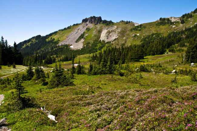 Обои картинки фото природа, горы, сша, америка, национальный, парк