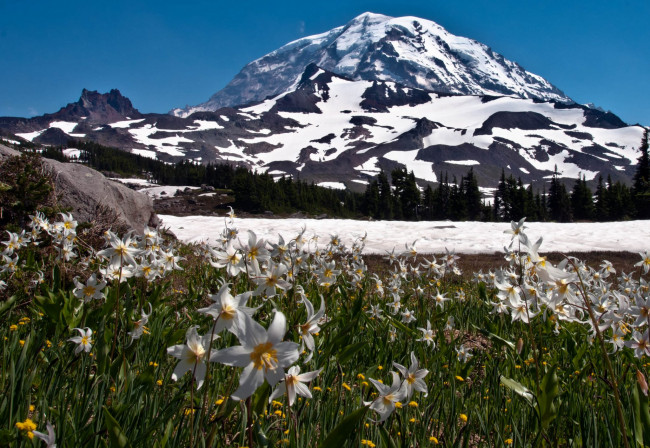 Обои картинки фото природа, горы, америка, национальный, парк, сша