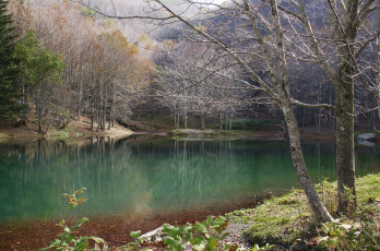 Картинка природа реки озера река лес