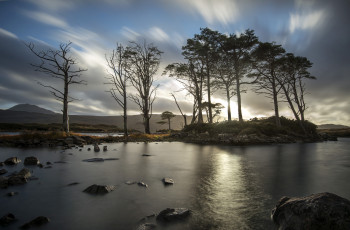 Картинка природа реки озера река лес