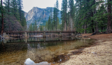 Картинка природа реки озера лес река