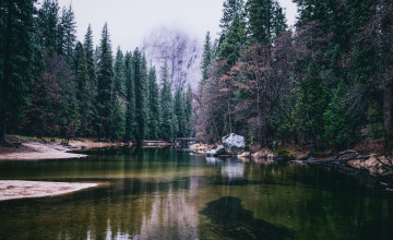 Картинка природа реки озера река лес