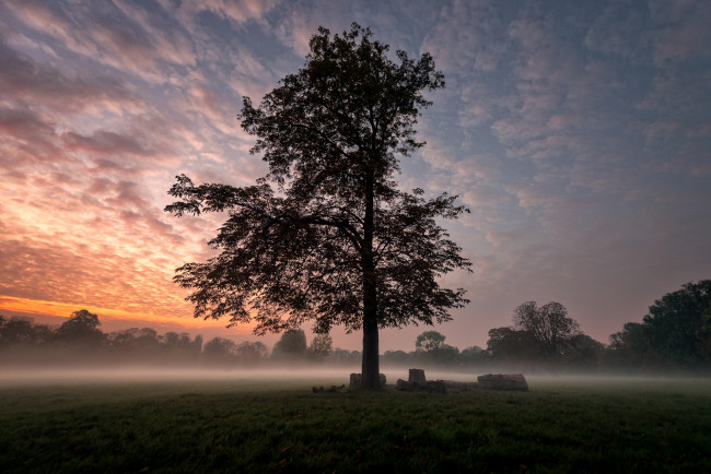 Обои картинки фото природа, восходы, закаты, рассвет