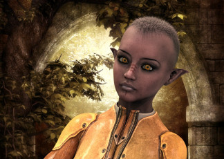 Картинка 3д+графика эльфы+ elves фон взгляд эльфийка